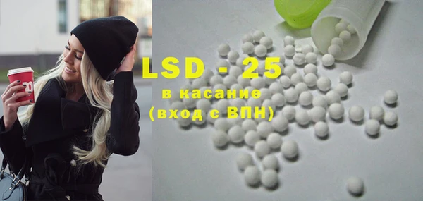 PSILOCYBIN Аркадак
