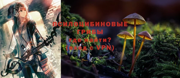 PSILOCYBIN Аркадак