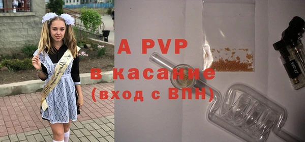 спайс Баксан